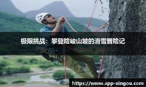 星欧官方网站
