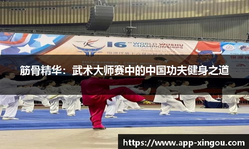 筋骨精华：武术大师赛中的中国功夫健身之道
